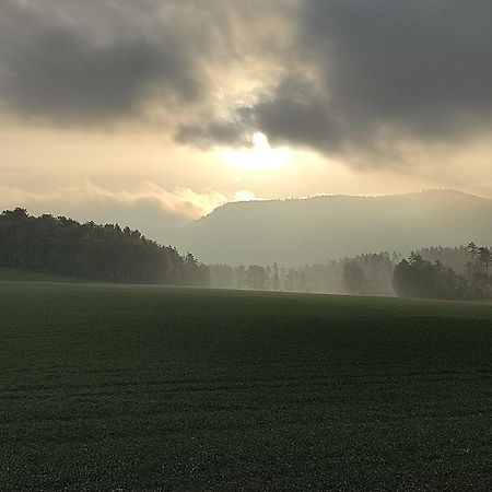 Ferienwohnung 15 Gohrisch Kültér fotó